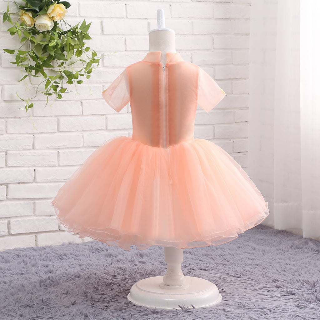 A Line Round Neck Short Sleeve Floral Tulle Flower Girl Dress WH14805
