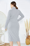 Elegant Plus Size Long Sleeve High Neck Casual Dress Unqiue Prom Dress FP8006