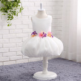 Ball Gown Round Neck Sleeveless Appliques Tulle Flower Girl Dress WH13819