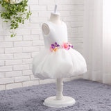 Ball Gown Round Neck Sleeveless Appliques Tulle Flower Girl Dress WH13819