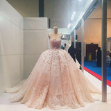 Pink Lace Applique Beads Ball Gown Quinceanera Dress Wedding Dress PM620