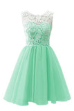 Flower Girl Adult Lace Short Prom Dress Ball Gown