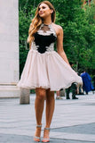 Cute Tulle Lace Short Prom Dresses, Halter Pink and Black Homecoming Dresses H1175