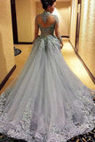Gorgeous Ball Gown Princess Long Sleeves Tulle Gray Long Prom Dresses PM113