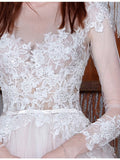 Long A-Line Long Sleeve Tulle Lace Plus Size Princess Elegant Wedding Dress PM32