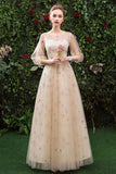 Princess A Line Long Sleeve Tulle Round Neck Evening Dress with Appliques, Prom Gowns P1247