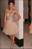 Champagne Tulle Homecoming Dress Short Prom Dress