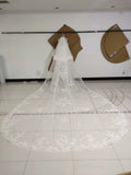 3M Long Embroidered Lace Appliques Tulle Cathedral Veil for Wedding Wedding Veils W1131