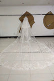 3M Long Embroidered Lace Appliques Tulle Cathedral Veil for Wedding, Wedding Veils W1131