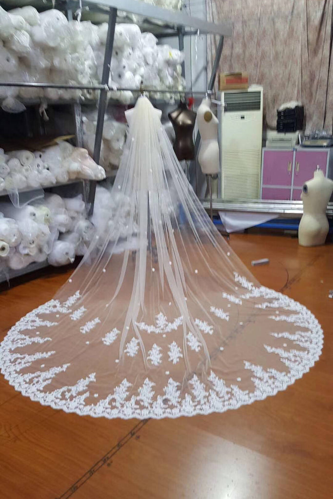 Ivory Lace Tulle Appliques 3D Flowers Wedding Veils uk PW78